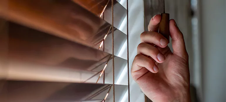 Double Roller Blinds in Santa Clara, CA
