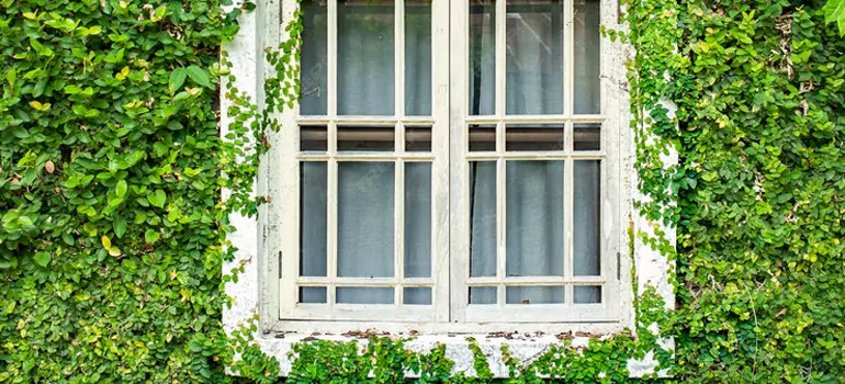 Garden Window Repair Near Me in Santa Clara, CA