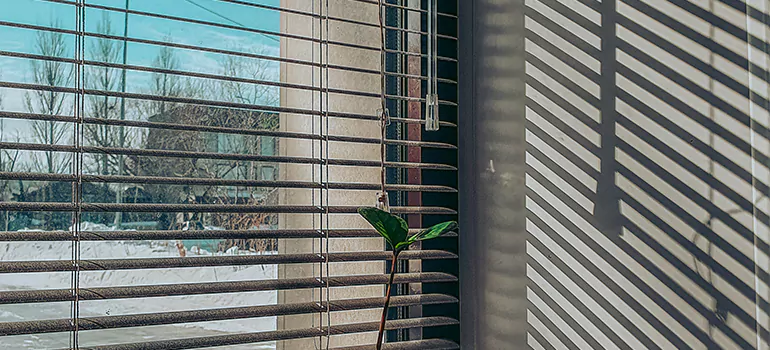 Commercial Window Blinds in Santa Clara, CA