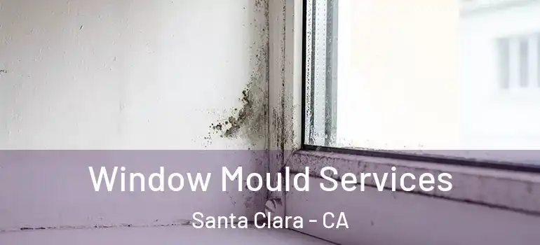  Window Mould Services Santa Clara - CA